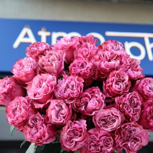 Róża Country Blues